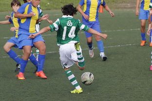 开云体育在线-土耳其绝地反击荷兰，马尔基尼奥斯惊艳世界