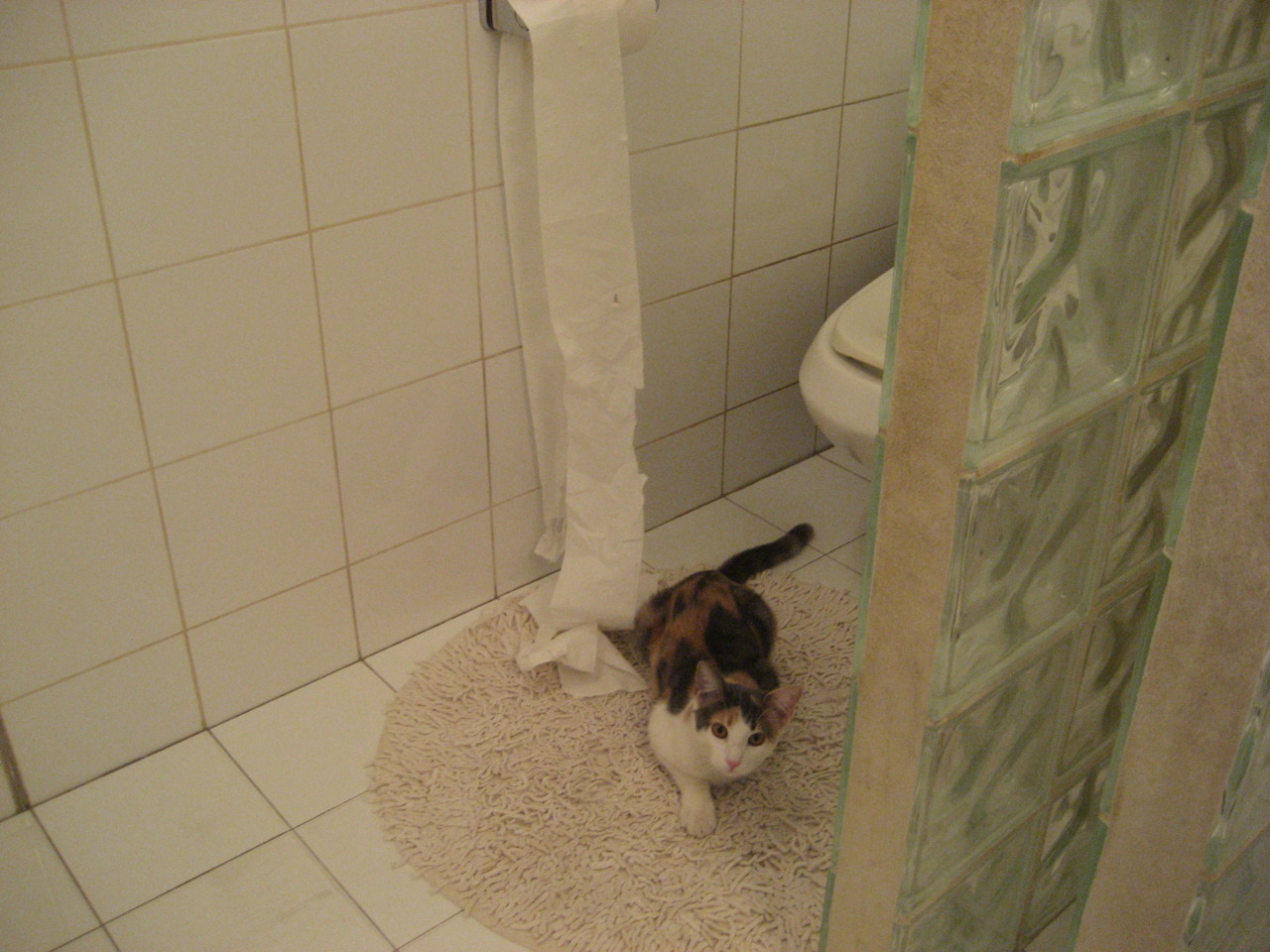 开云体育在线-布伦森31+7导演逆袭，雷霆加时鏖战力克辽宁，郭艾伦空砍29分