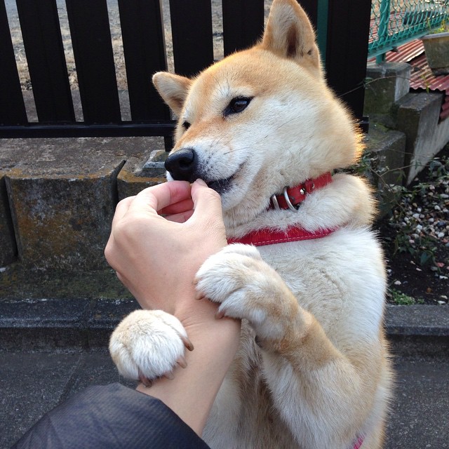 鏖战太原！开拓者血拼山西锁定世界排名生死线